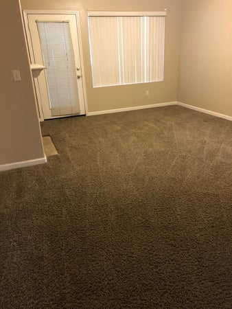 Images Carpet Pro Carpet Cleaning & Dyeing