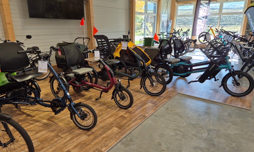 e-motion e-Bike Welt, Dreirad-Zentrum & Lastenfahrrad-Zentrum Westhausen, Doktor-Rudolf-Schieber-Straße 65 in Westhausen