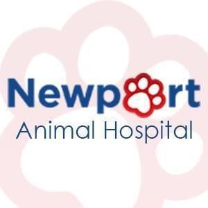 Newport Animal Hospital Photo