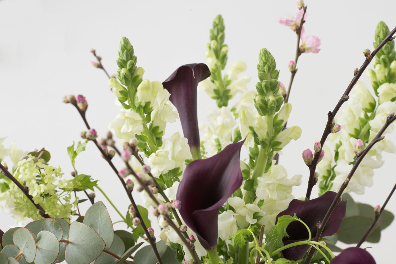 Images SORTI Begravningar