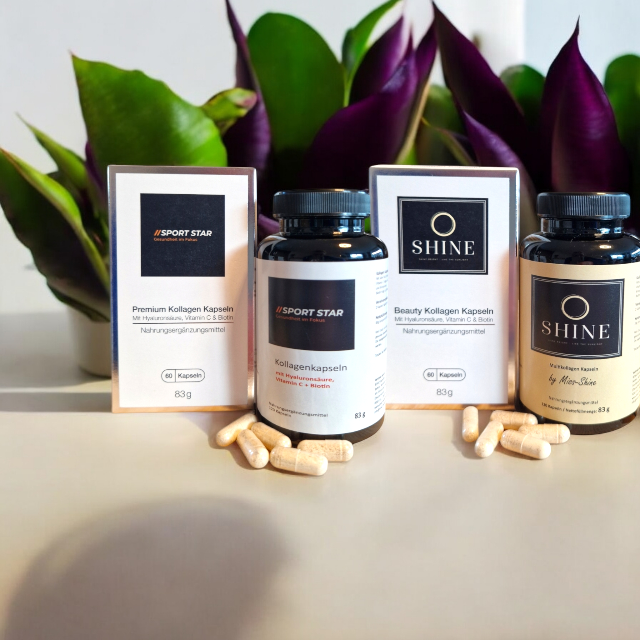 Bilder BEWO Benefits