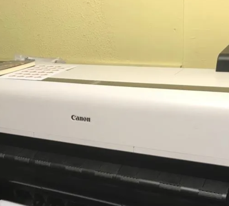 Images Eliografia Berard