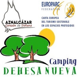 Camping Dehesa Nueva Logo