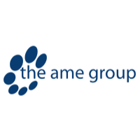 The AME Group - Indianapolis, IN 46256 - (317)842-6400 | ShowMeLocal.com