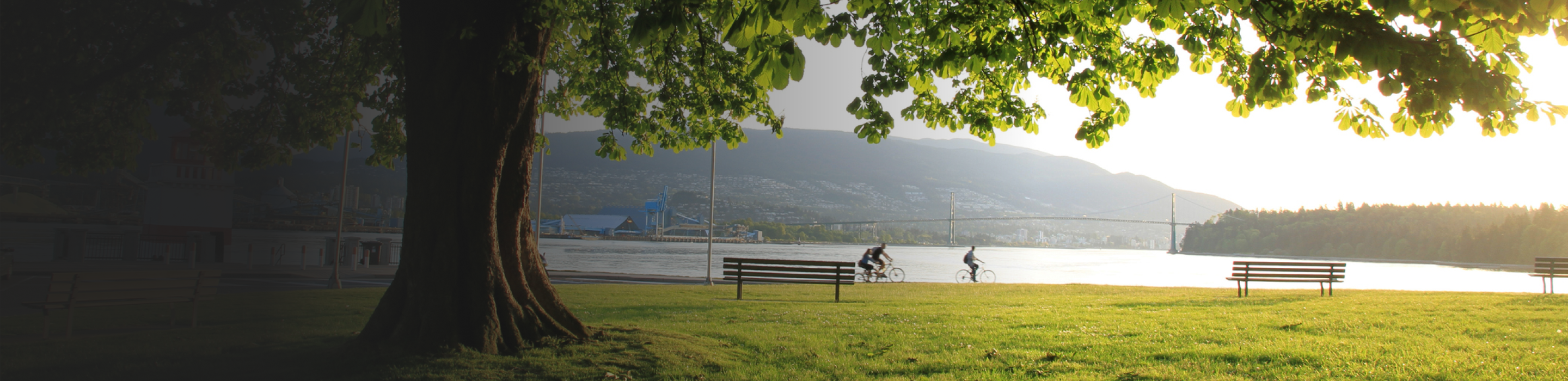 A calming park by the water with bikers.