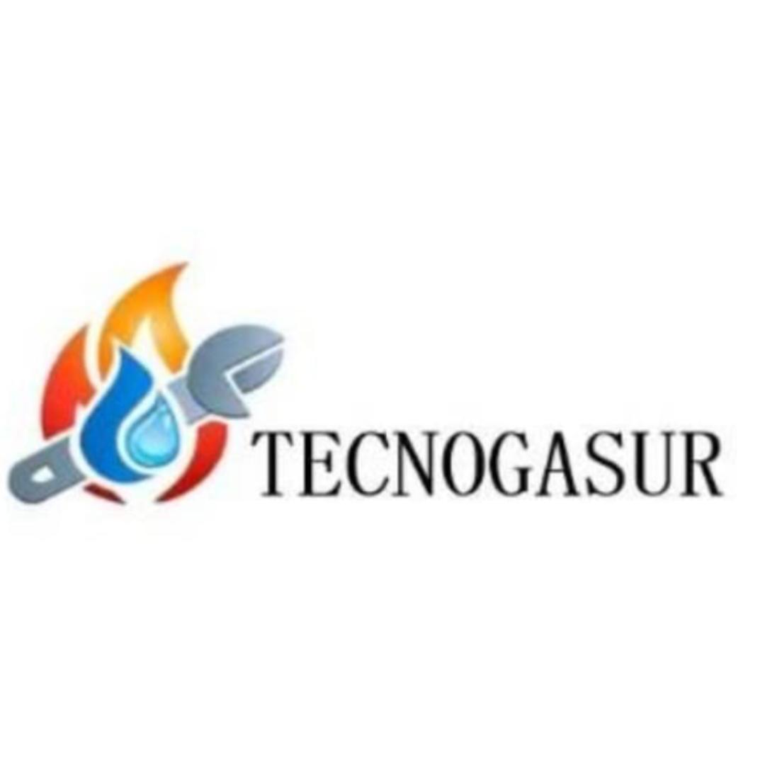 Tecnogasur Logo