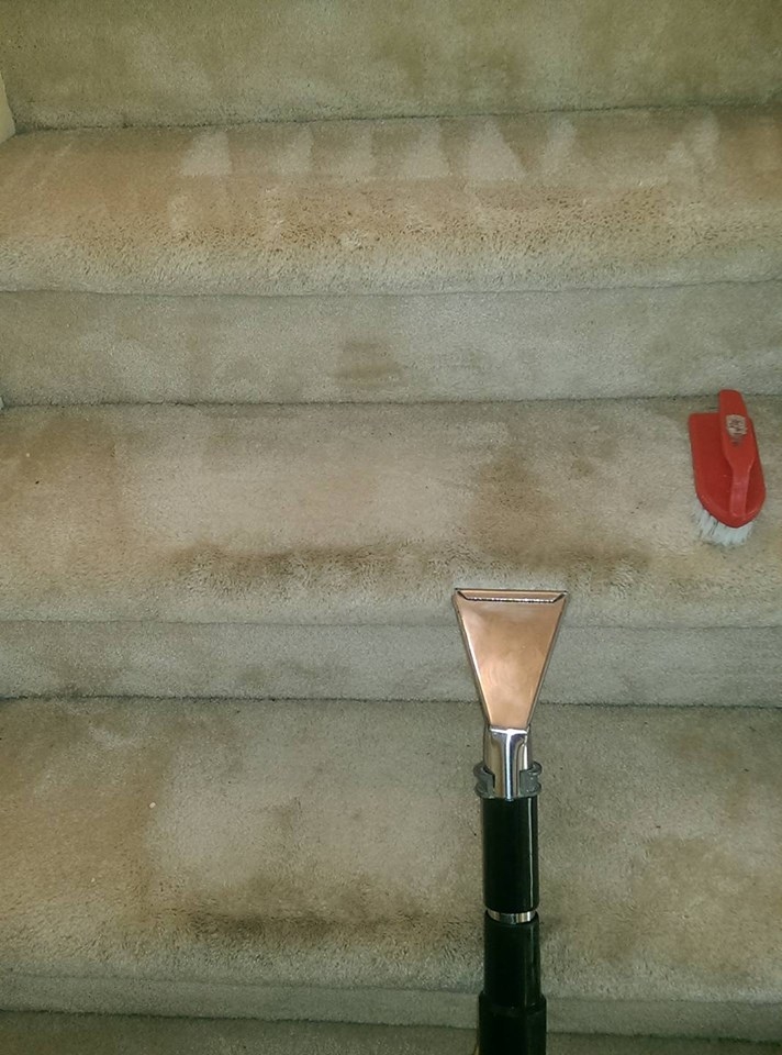 Five Star Carpet Service