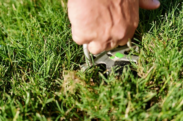 Images Pest Magic, LLC