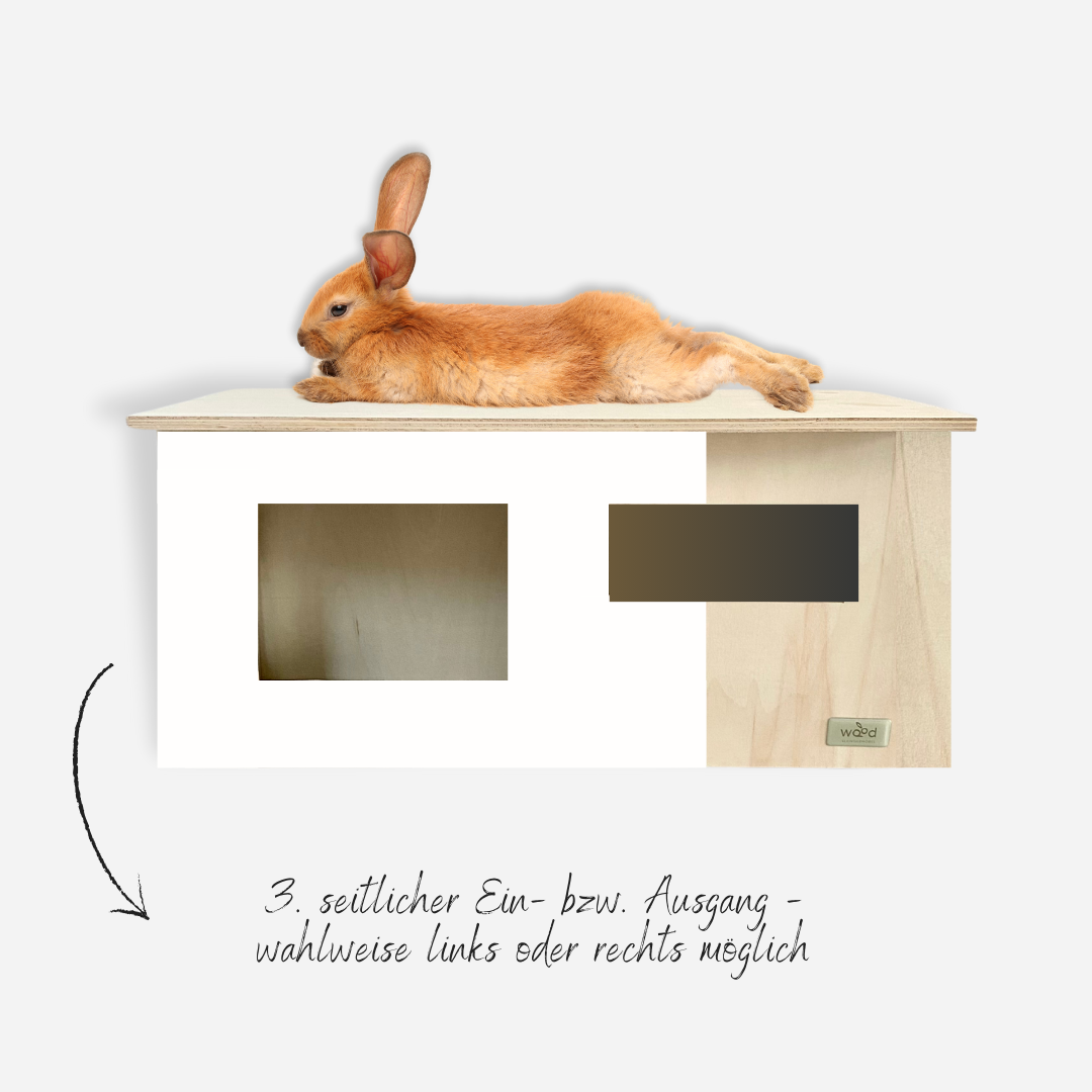 Wood-Kleintiermöbel by Julian Rumpel in Poppenhausen