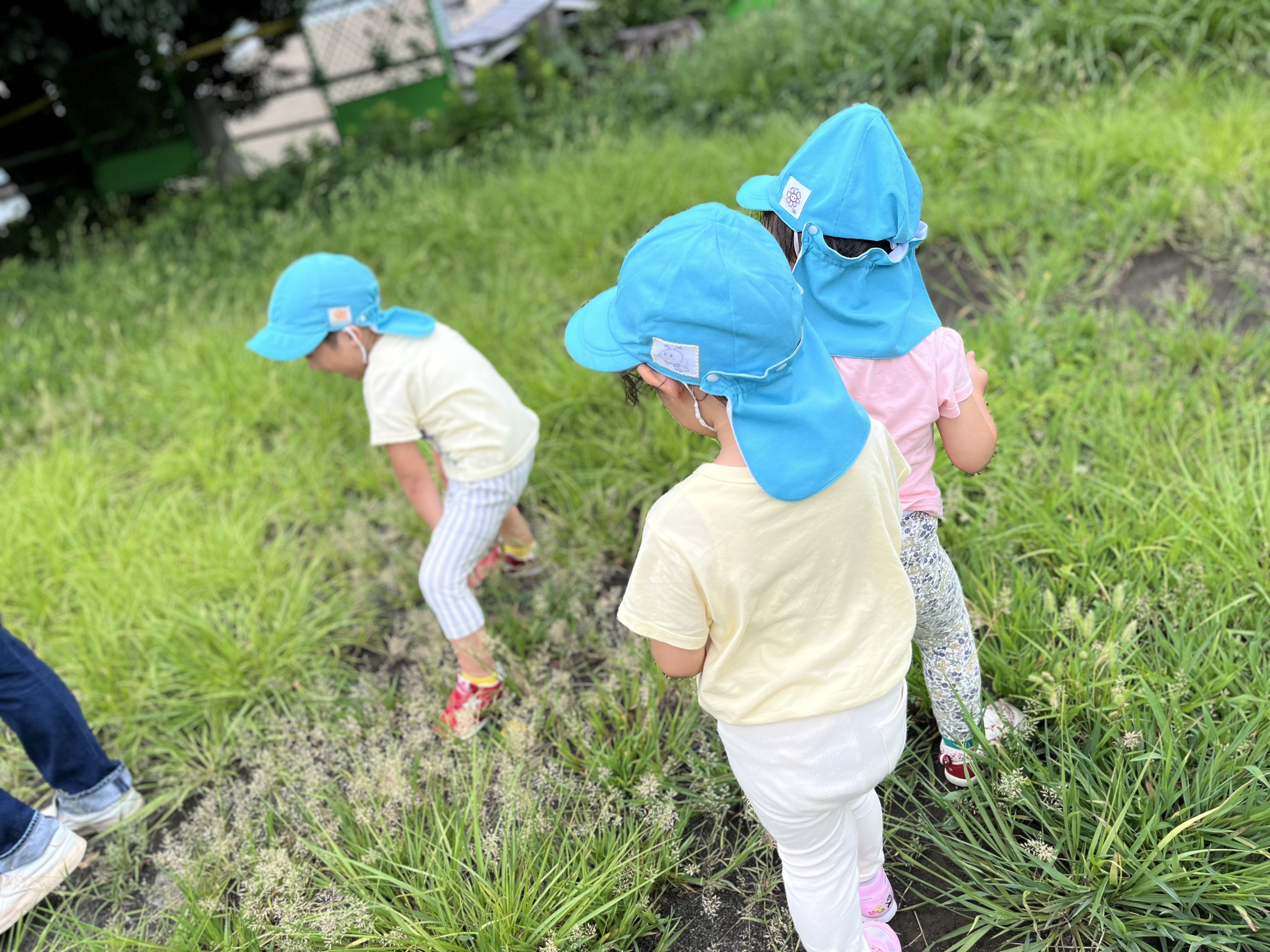 Images 横浜すきっぷ保育園