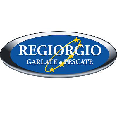 Regiorgio Service Logo