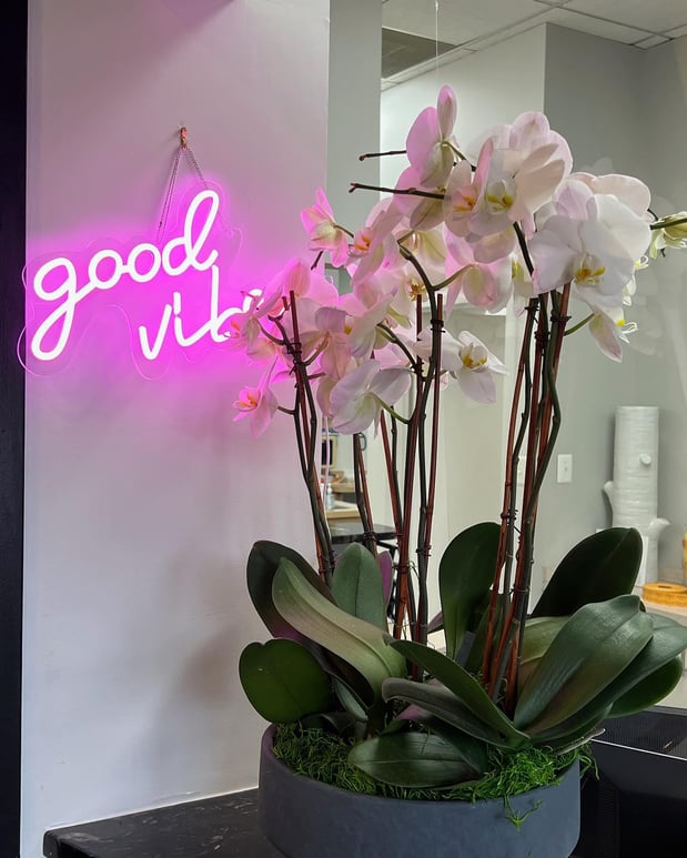 Images Centreville Dental Wellness Center