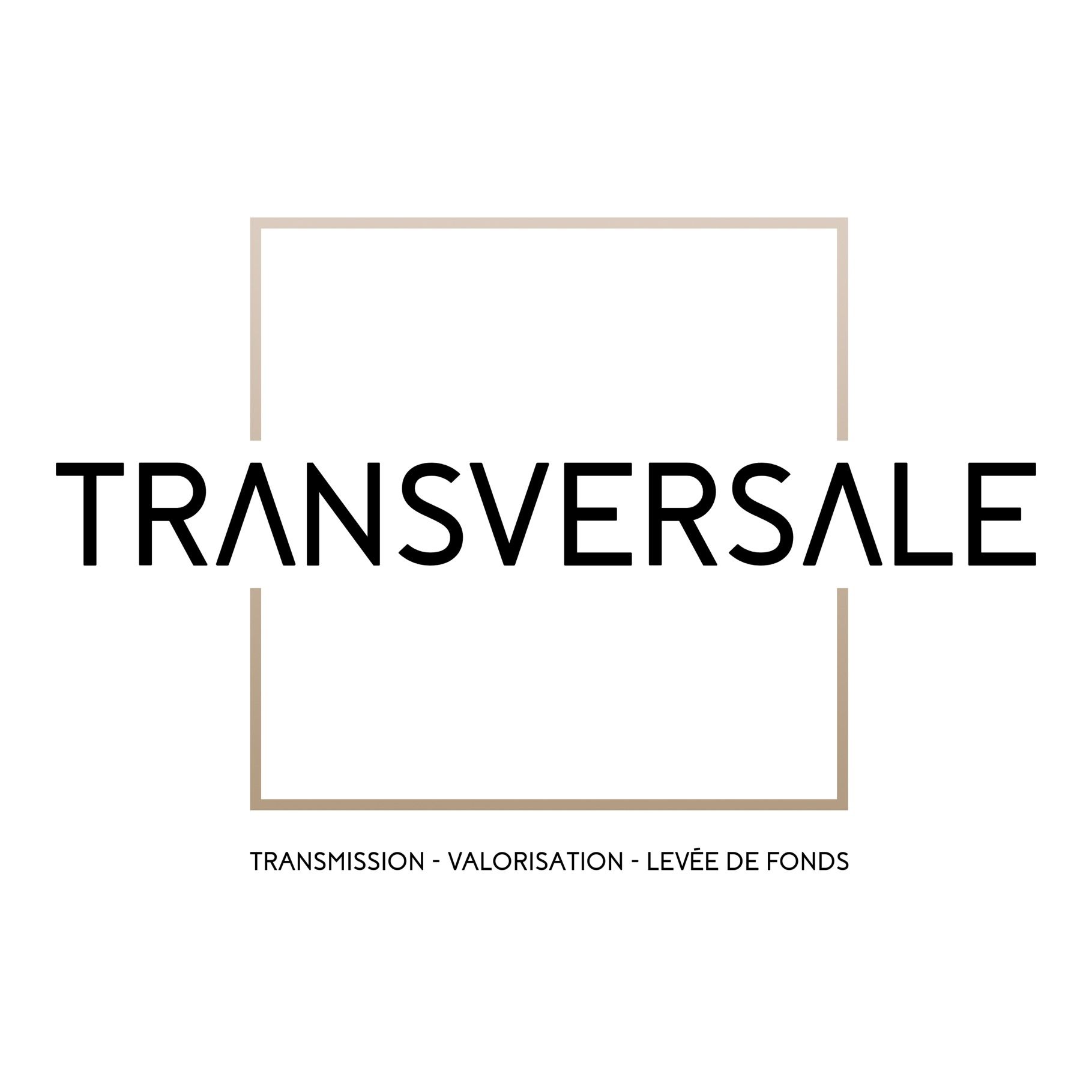 Transversale Conseil commissaire aux comptes