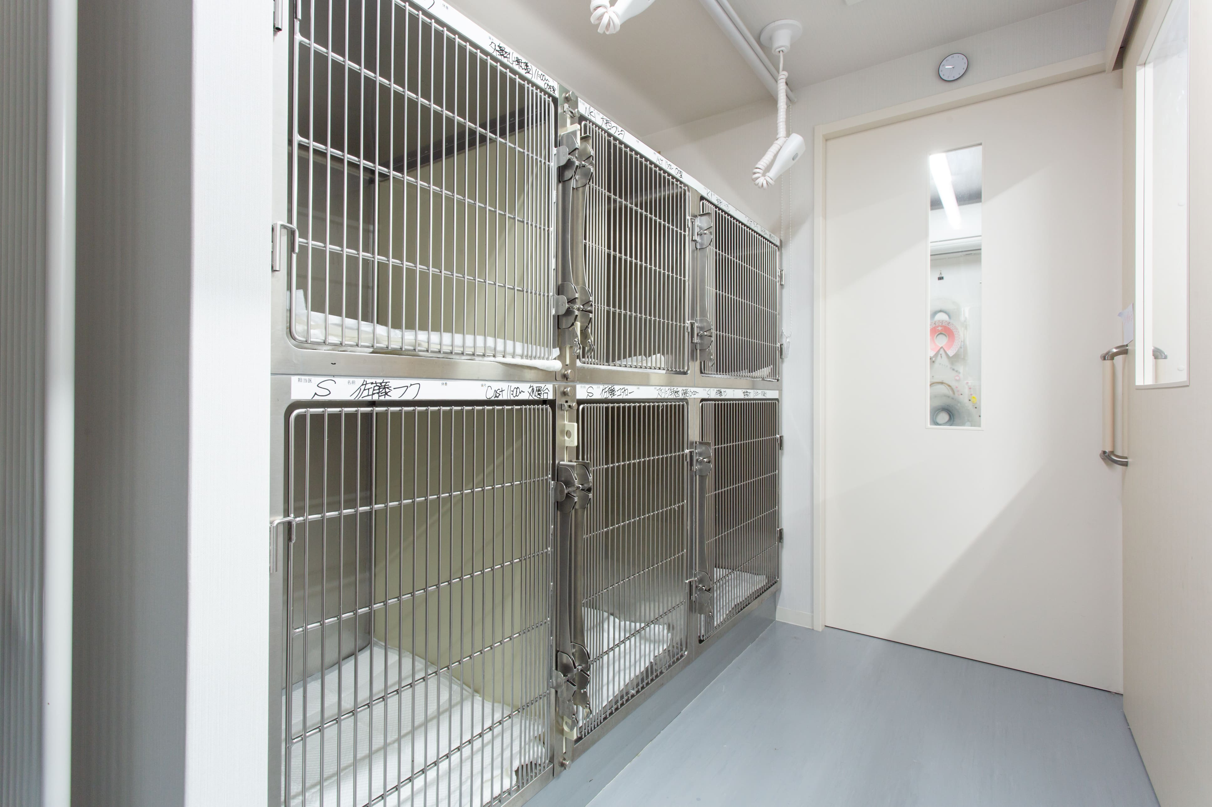 Images アイリス動物医療センター