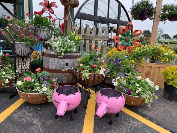 Images S & H Nursery
