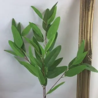 Images Village Green Wholesale Ltd