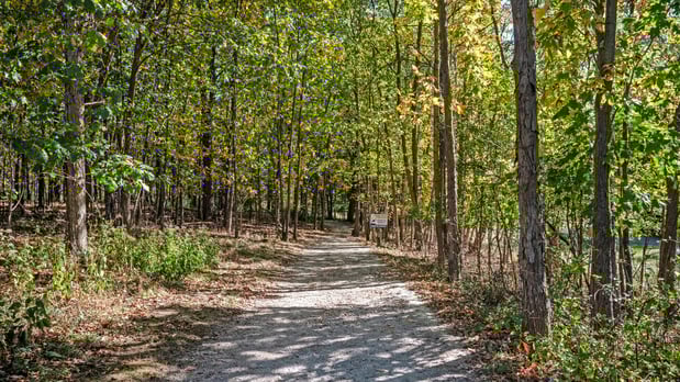 Images Coldwater Ridge of Northville