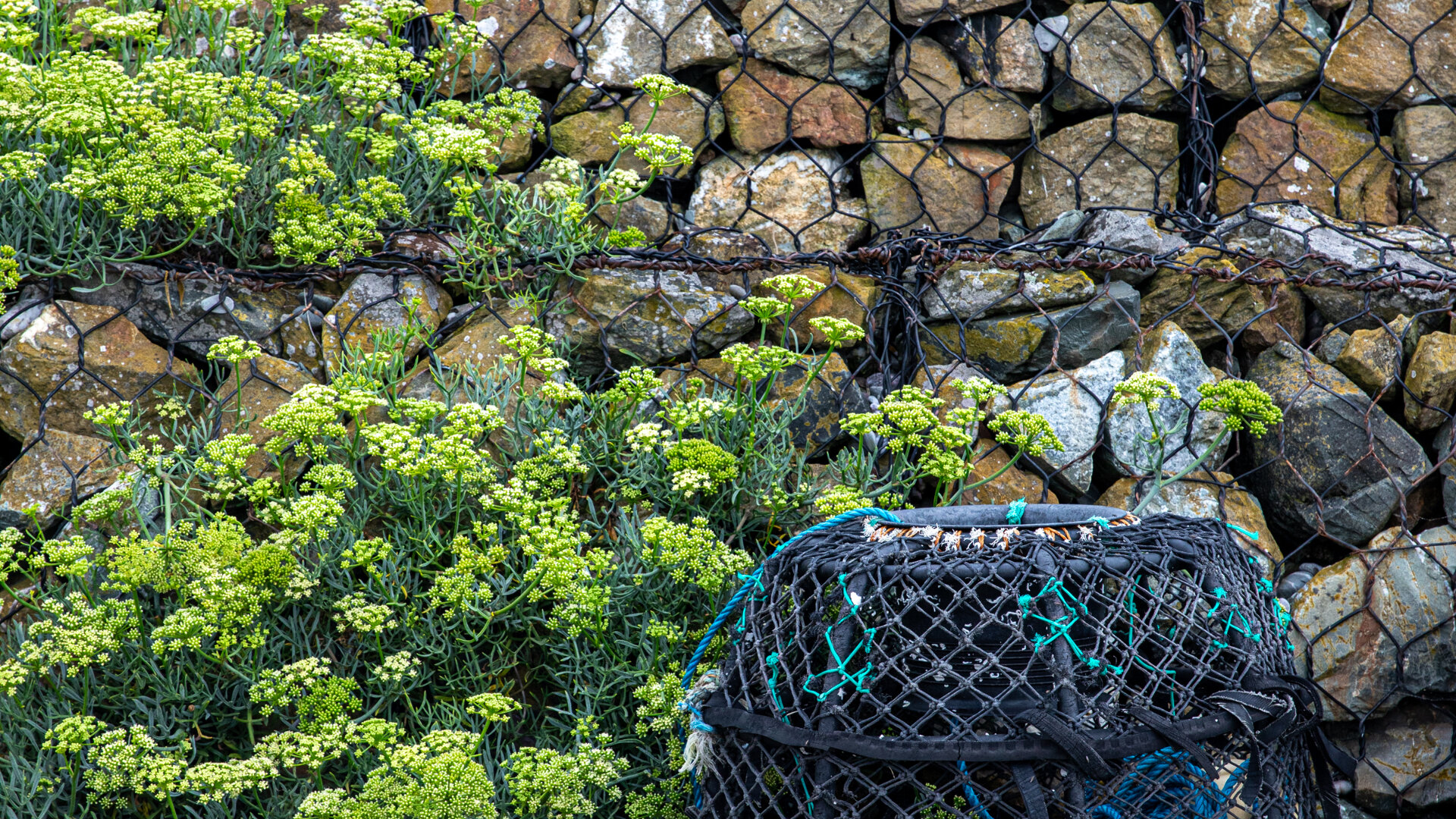 Images Inn On The Shore