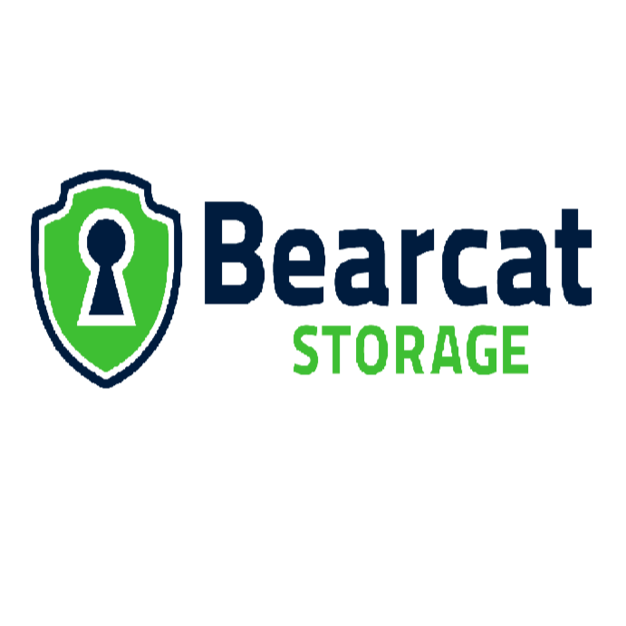 Bearcat Storage - Delhi Pike Logo