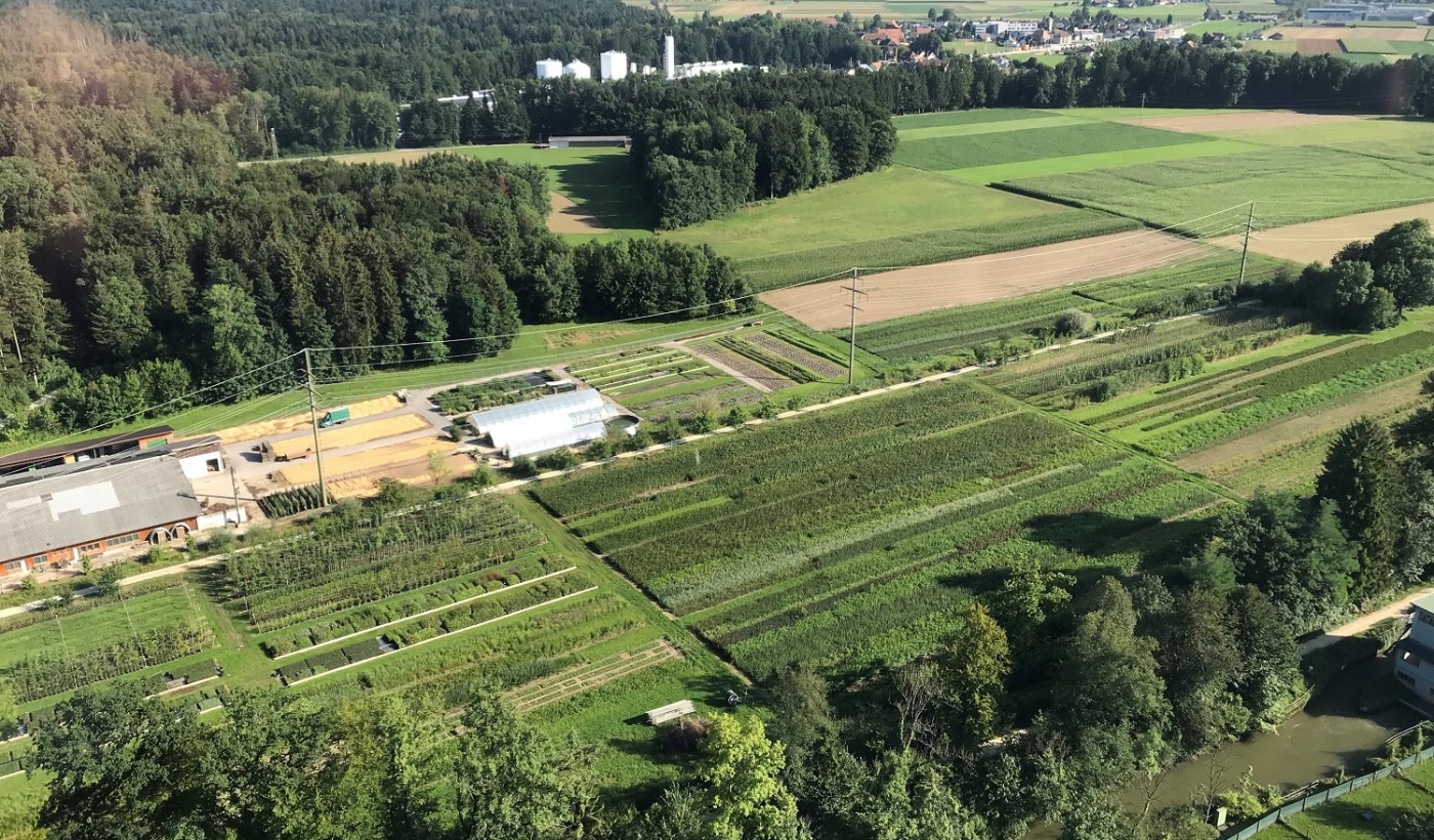 Emme Forstbaumschulen AG, Schachen 9 in Wiler b. Utzenstorf