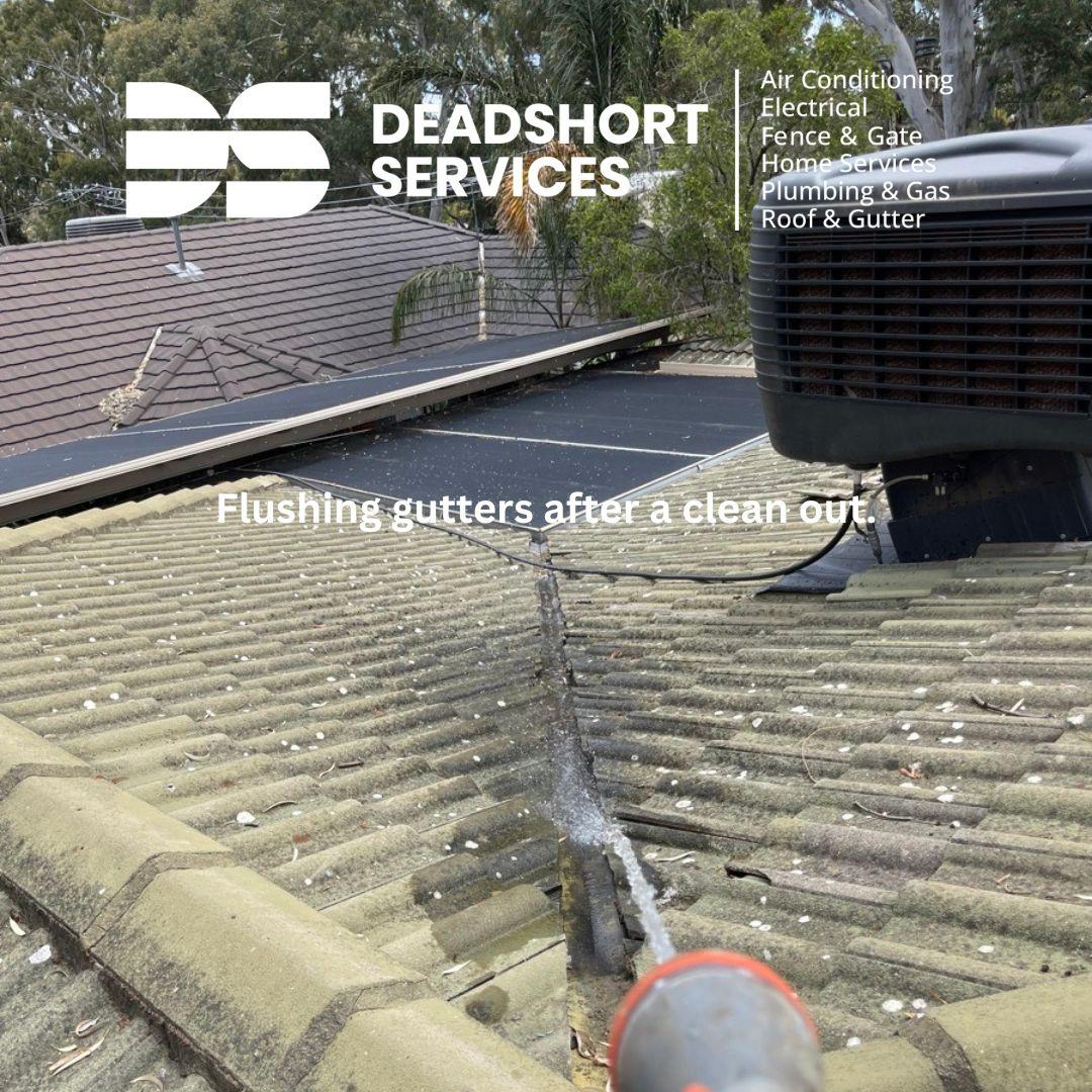 Images Deadshort Services
