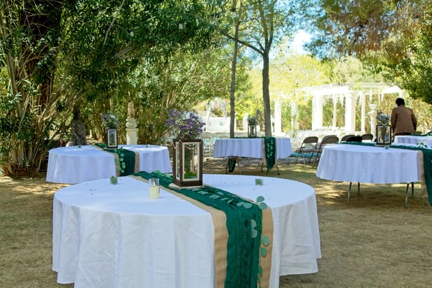 Images Cedar Rose Grove