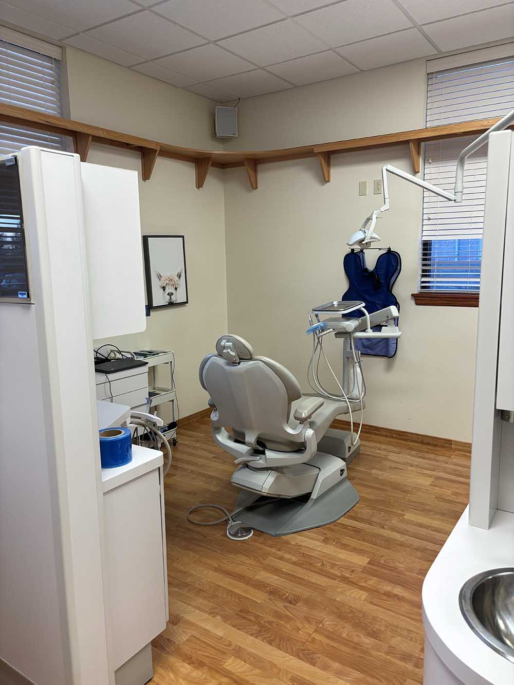 Little Smiles of Dardenne Prairie Image