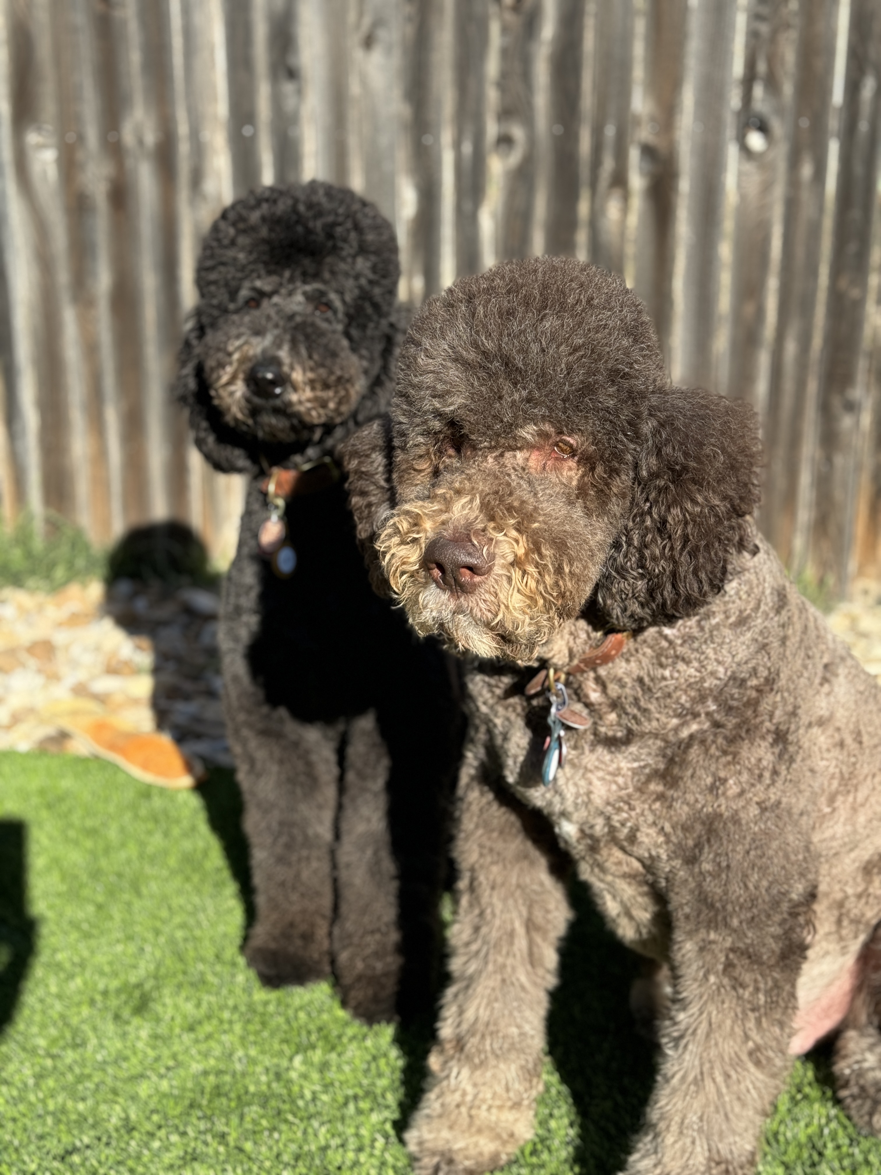 Doodle Me This Kingston and Hamilton LLC Image