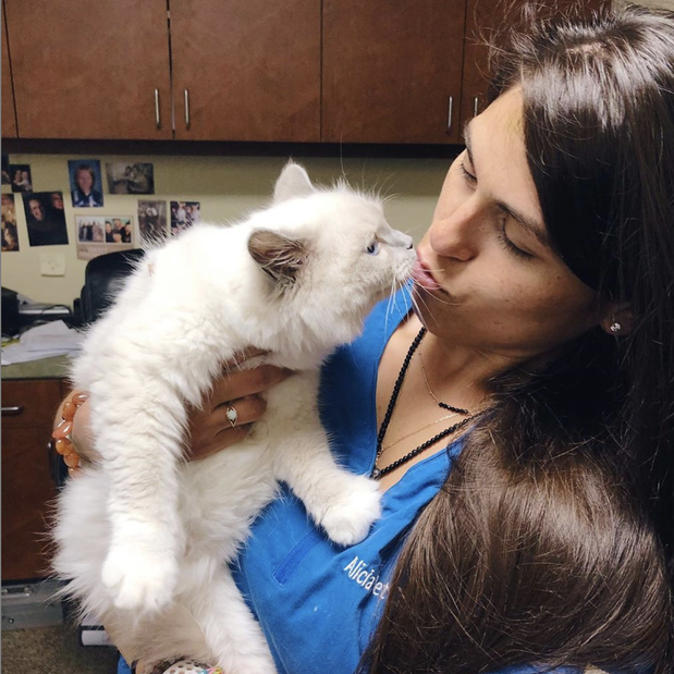 Images Alicia Pet Care Center