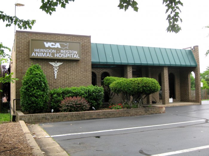 Images VCA Herndon-Reston Animal Hospital
