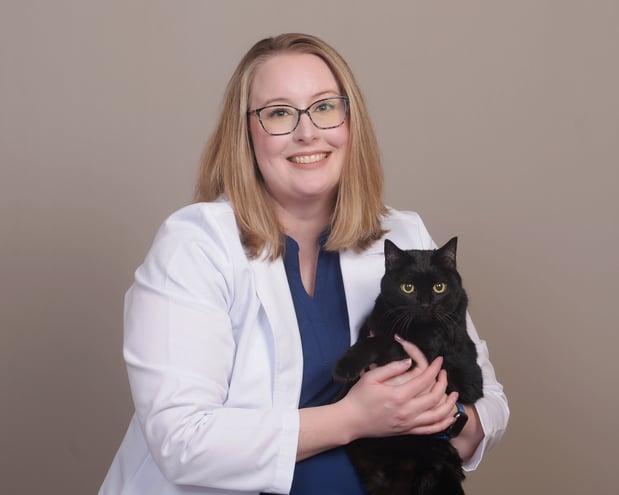 Images CityVet Veterinary Clinic & Urgent Care