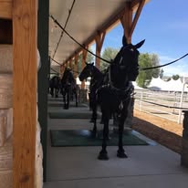 Center Peace Farm Image