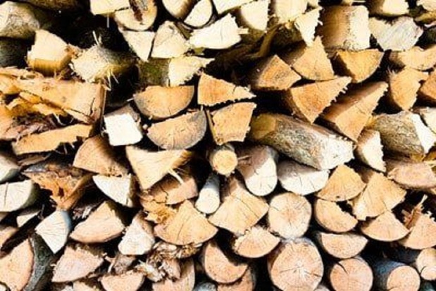 Images Rocky's Tree Service