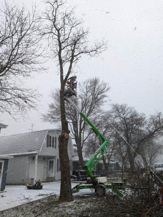 Milks Tree Service Inc Image