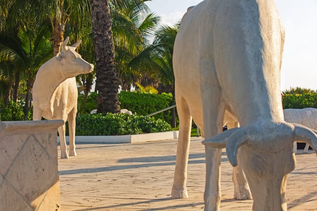 Images Kimpton Surfcomber Hotel by IHG