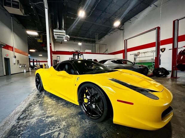 Images Loudoun County Exotics