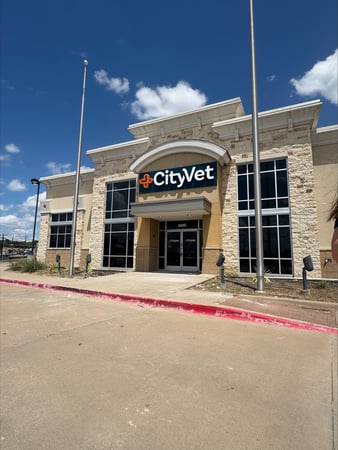 Images CityVet | Lake Worth