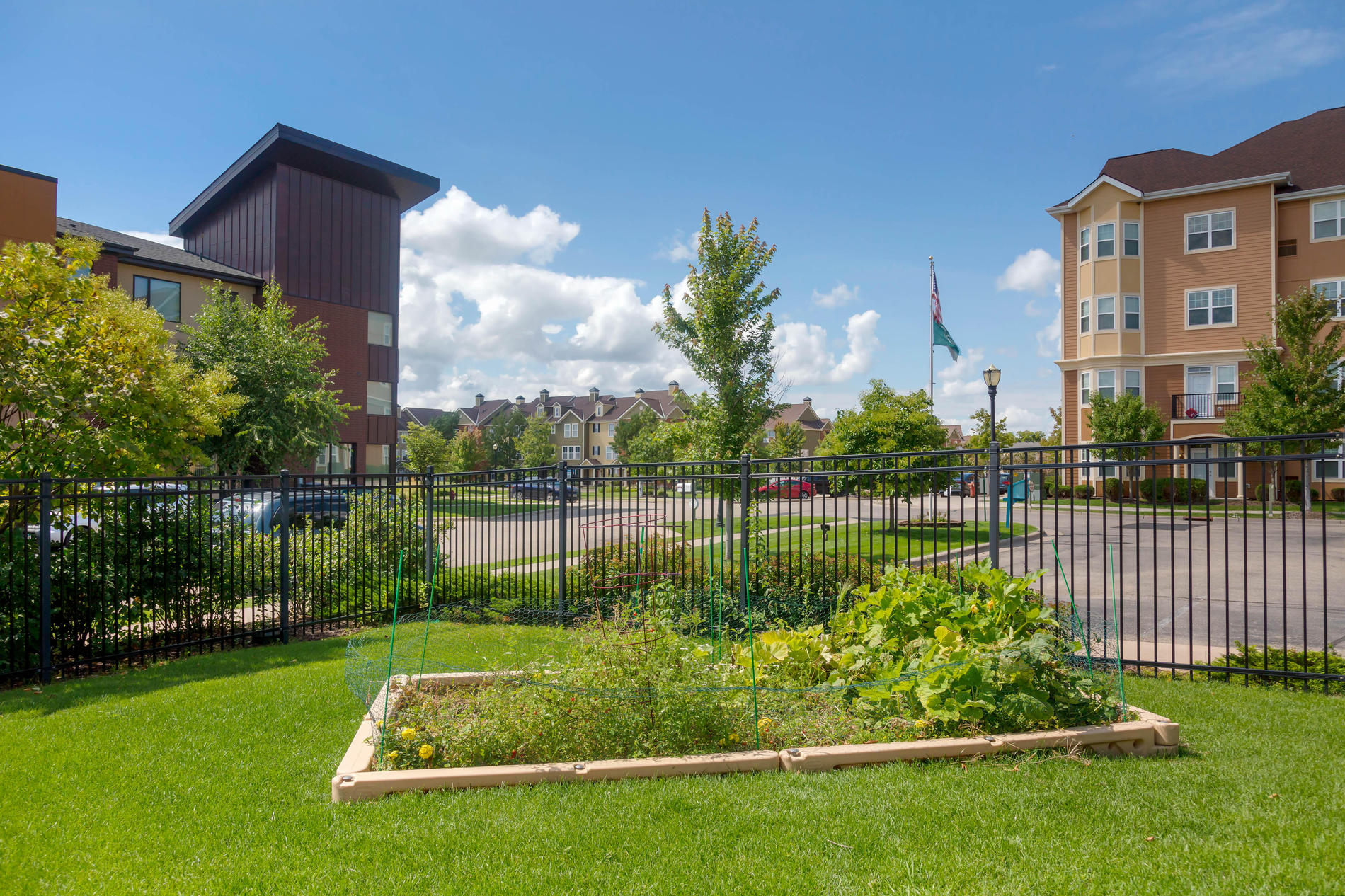 Images Primrose School of Woodbury