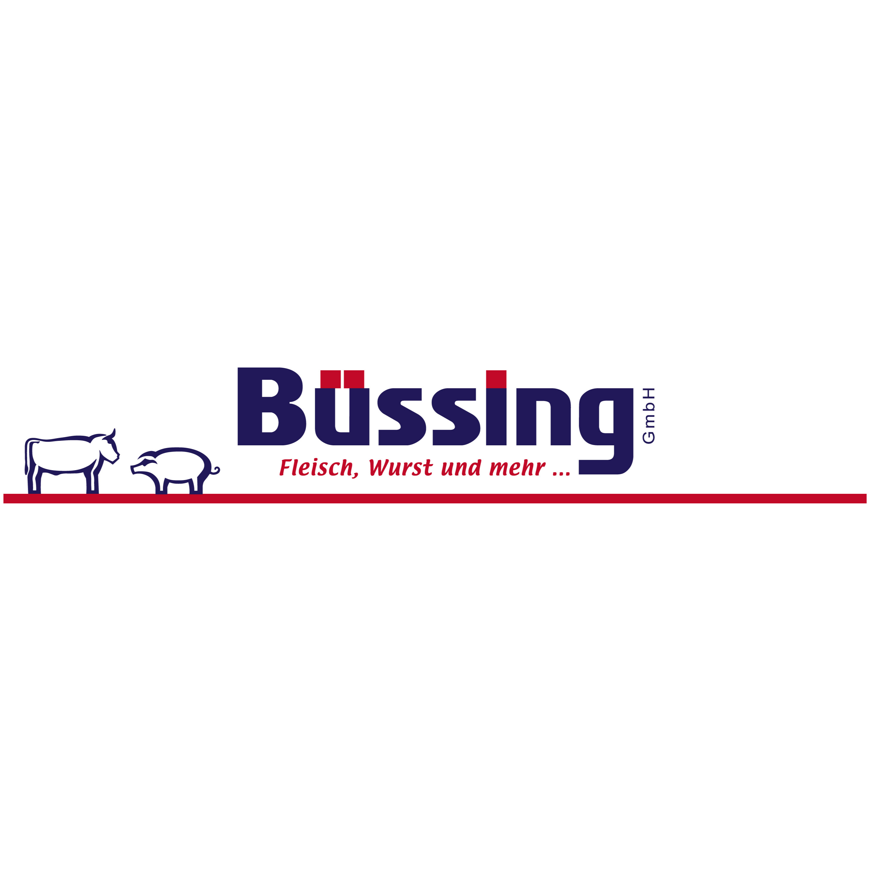 Logo Büssing GmbH