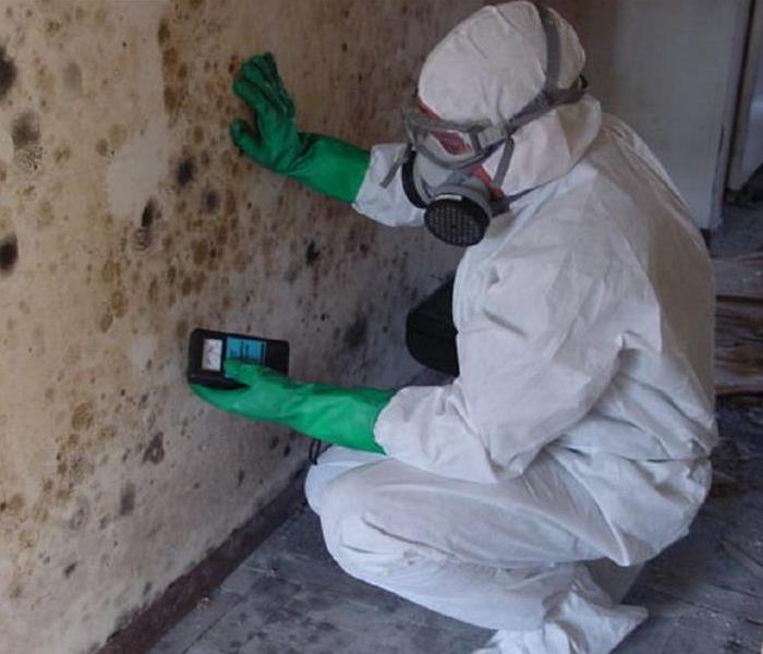 Mold Spore Inspection and Removal