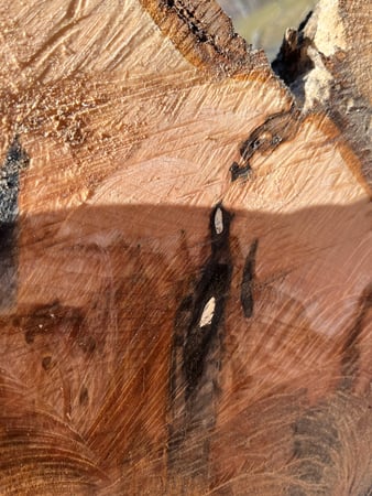 Images Oakes Tree Service & Rubish Removal