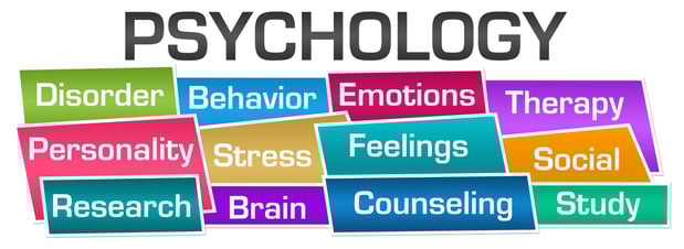 Images Thought Wise Counseling & Neuropsychology Jacksonville