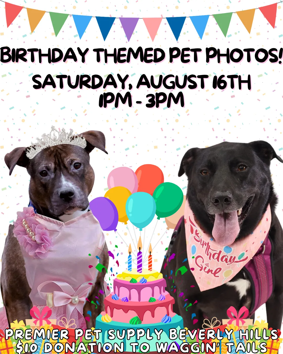 Image of Local Pet Event BIRTHDAY PET PHOTOS W/ RUFF LIFE PHOTOGRAPHY|BEVERLY HILLS Nearby