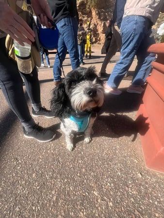 Images Cave of the Winds Mountain Park