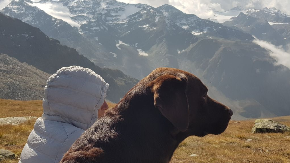 Bilder Tierkommunikation Seelentiergespräch