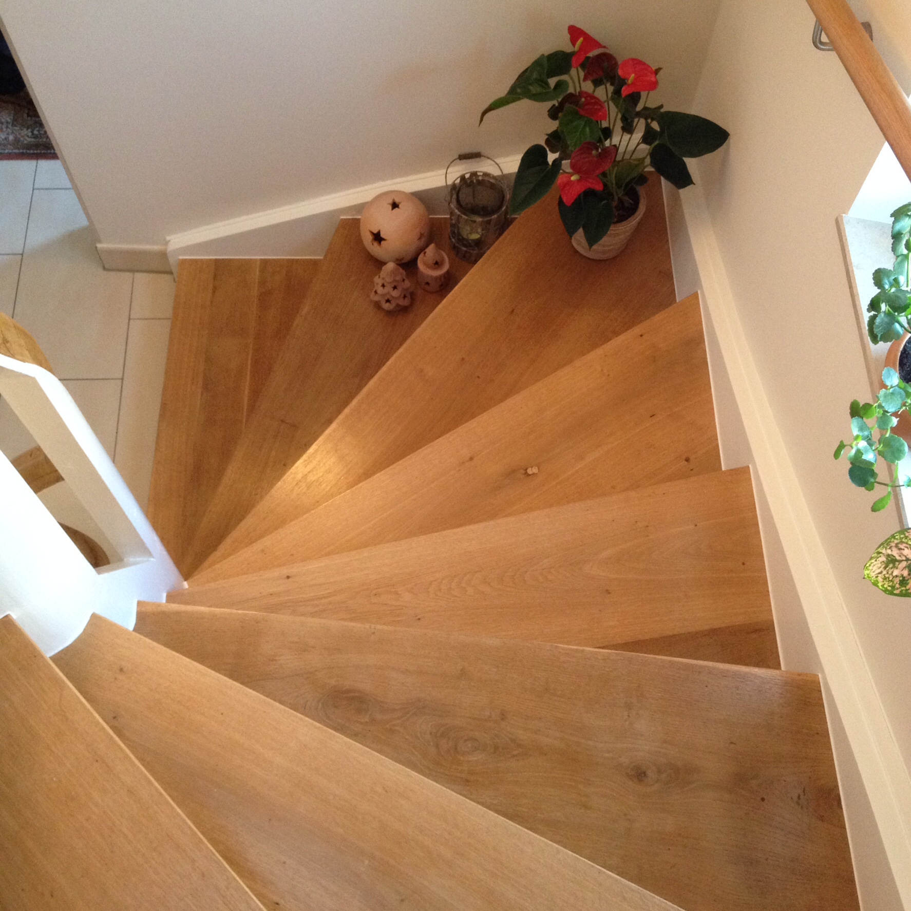 WEWA Putz, Dr.-Ludwig-Vierling-Str.  2 in Redwitz