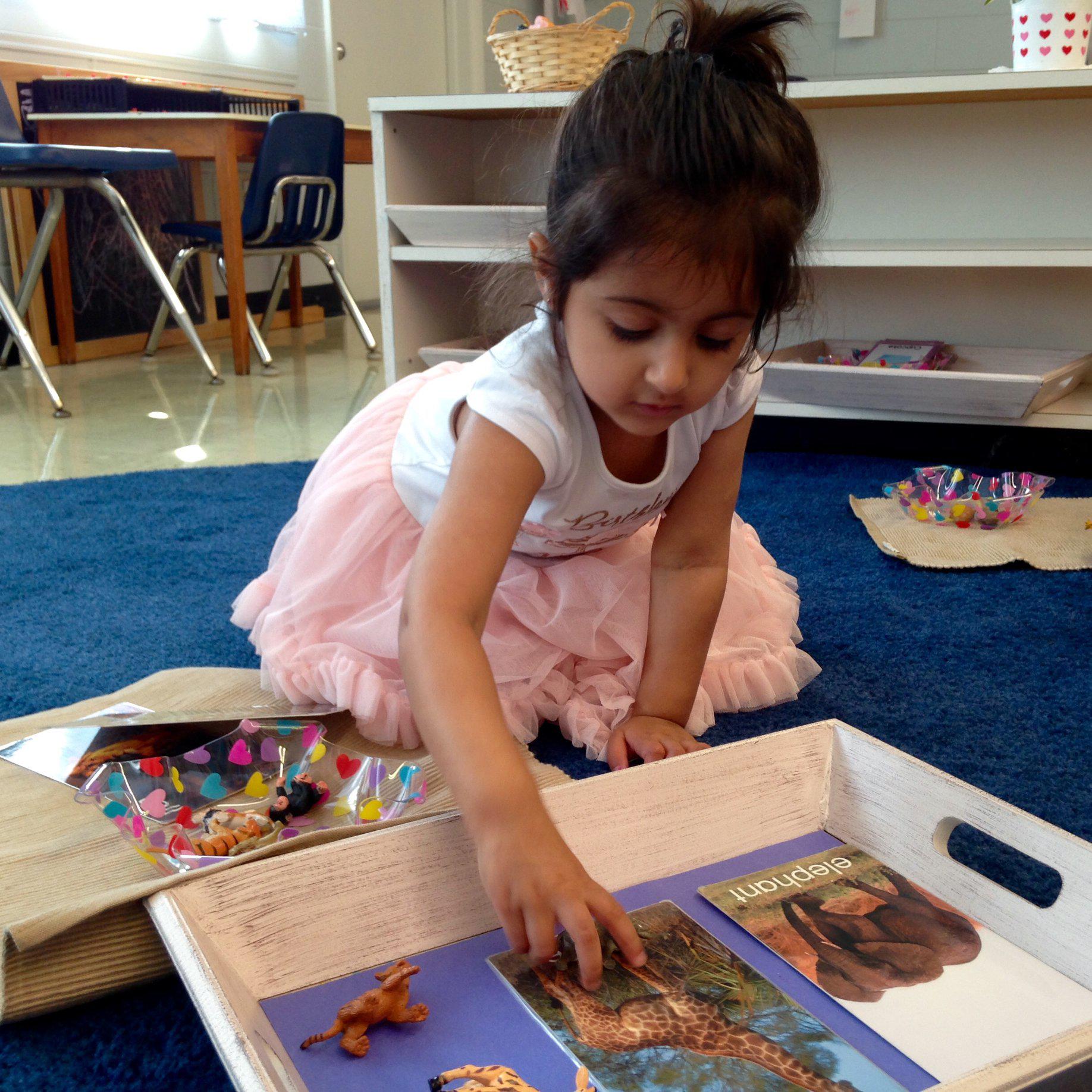 Montessori Preschool Learning