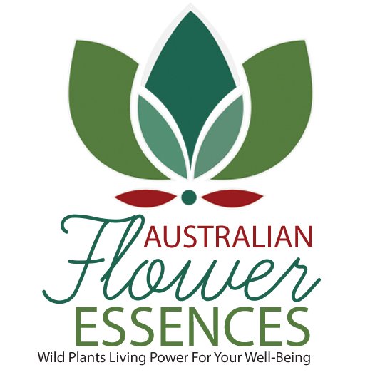 WUNDER-SCHÖN Naturprodukte Ltd., Schüttorfer Strasse 1 b in Bad Bentheim