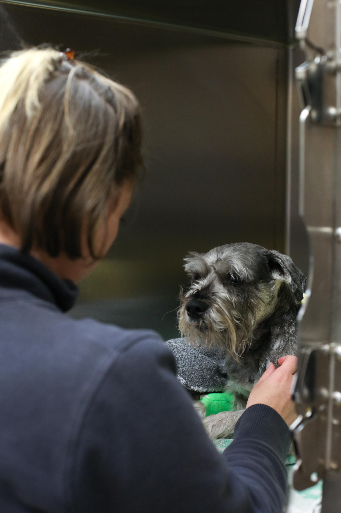 When it comes to surgical procedures, we want to put your mind at ease. Your pet is in the best hands!