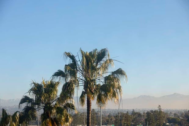 Images Hilton Garden Inn LAX Los Angeles Airport